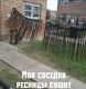 следующее фото